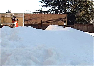 Illustration for article titled Real-World Calvin Builds Snow Machine, Creates Backyard Mountain Overnight